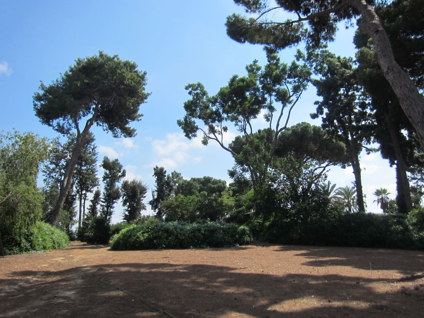 Baron Menashe Garden