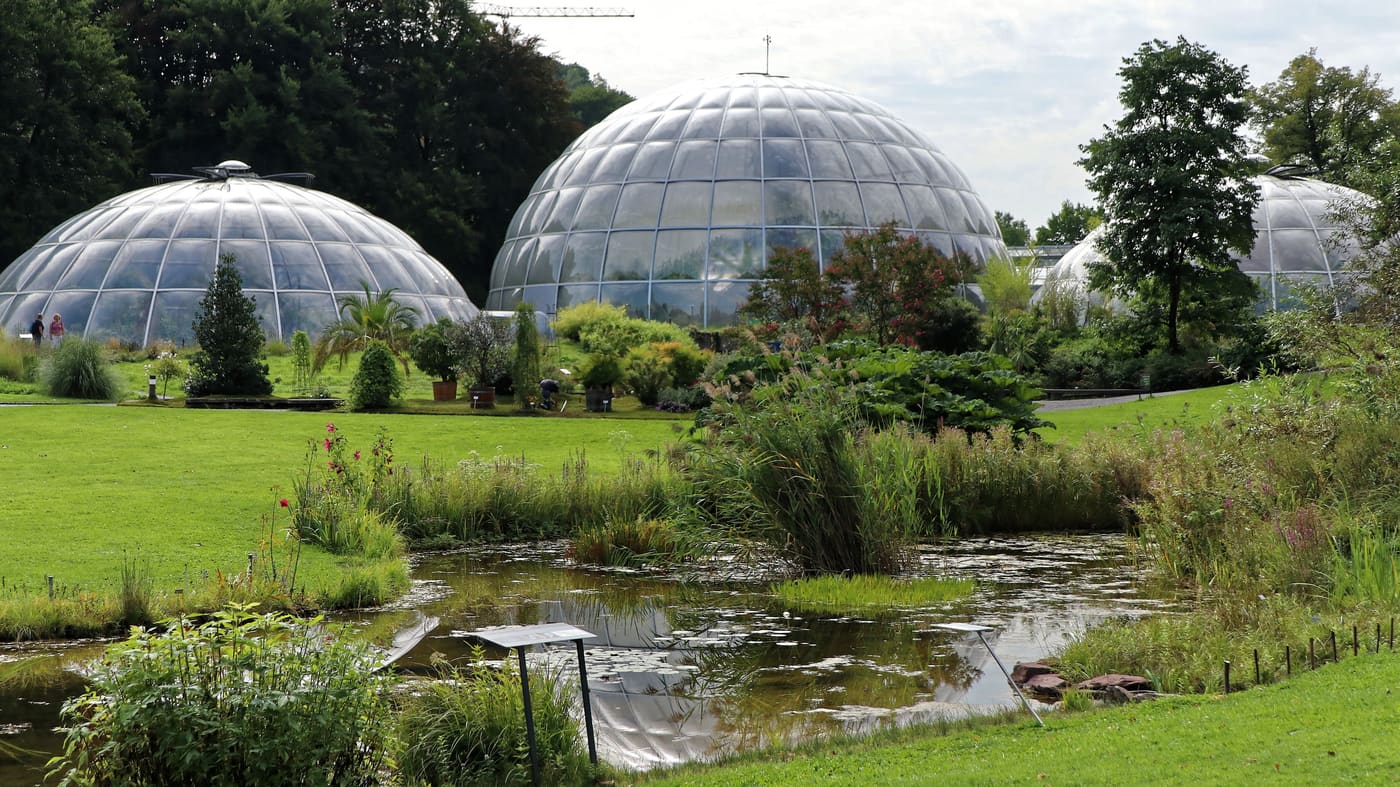 Botanical Garden of the University of Zurich