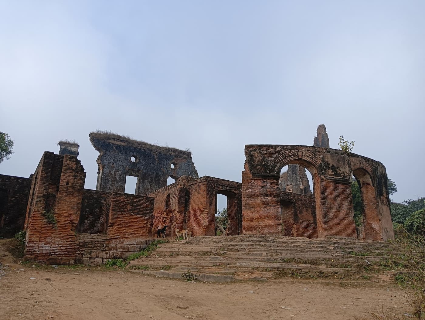Musa Bagh