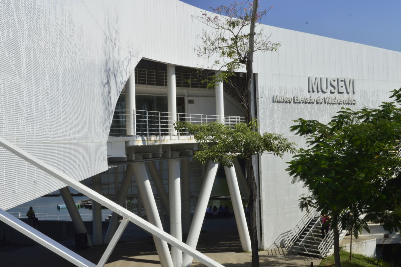 Musevi
