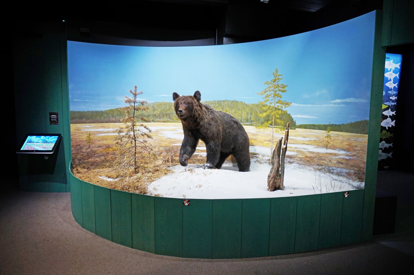 Natural History Museum of Tampere