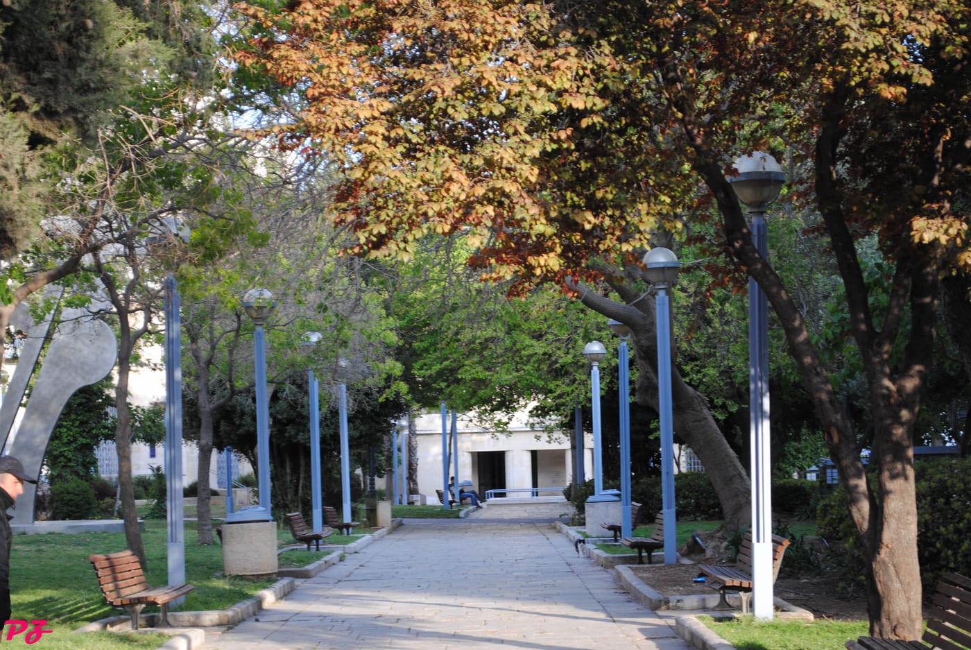 Daniel garden