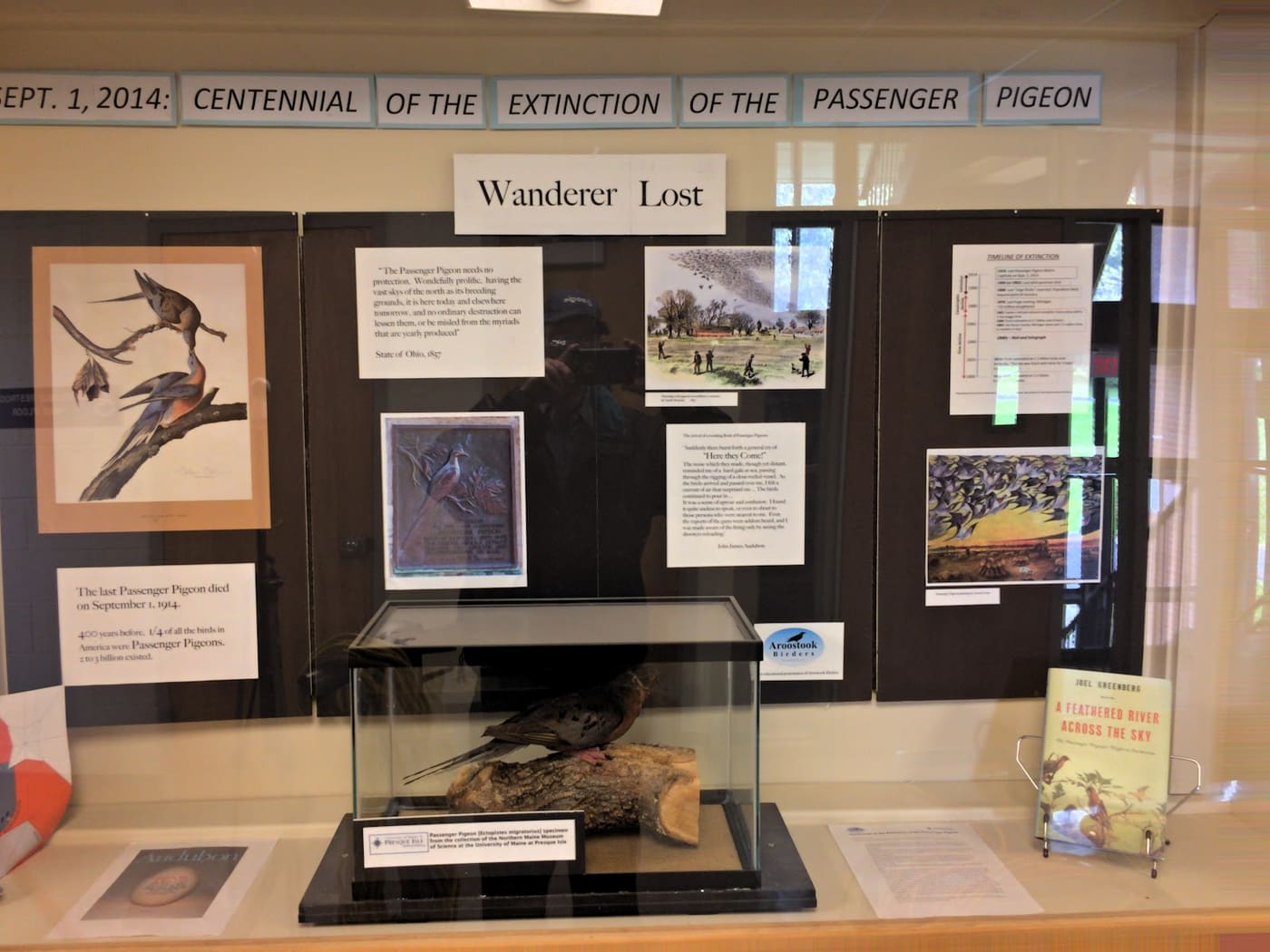 Northern Maine Museum of Science