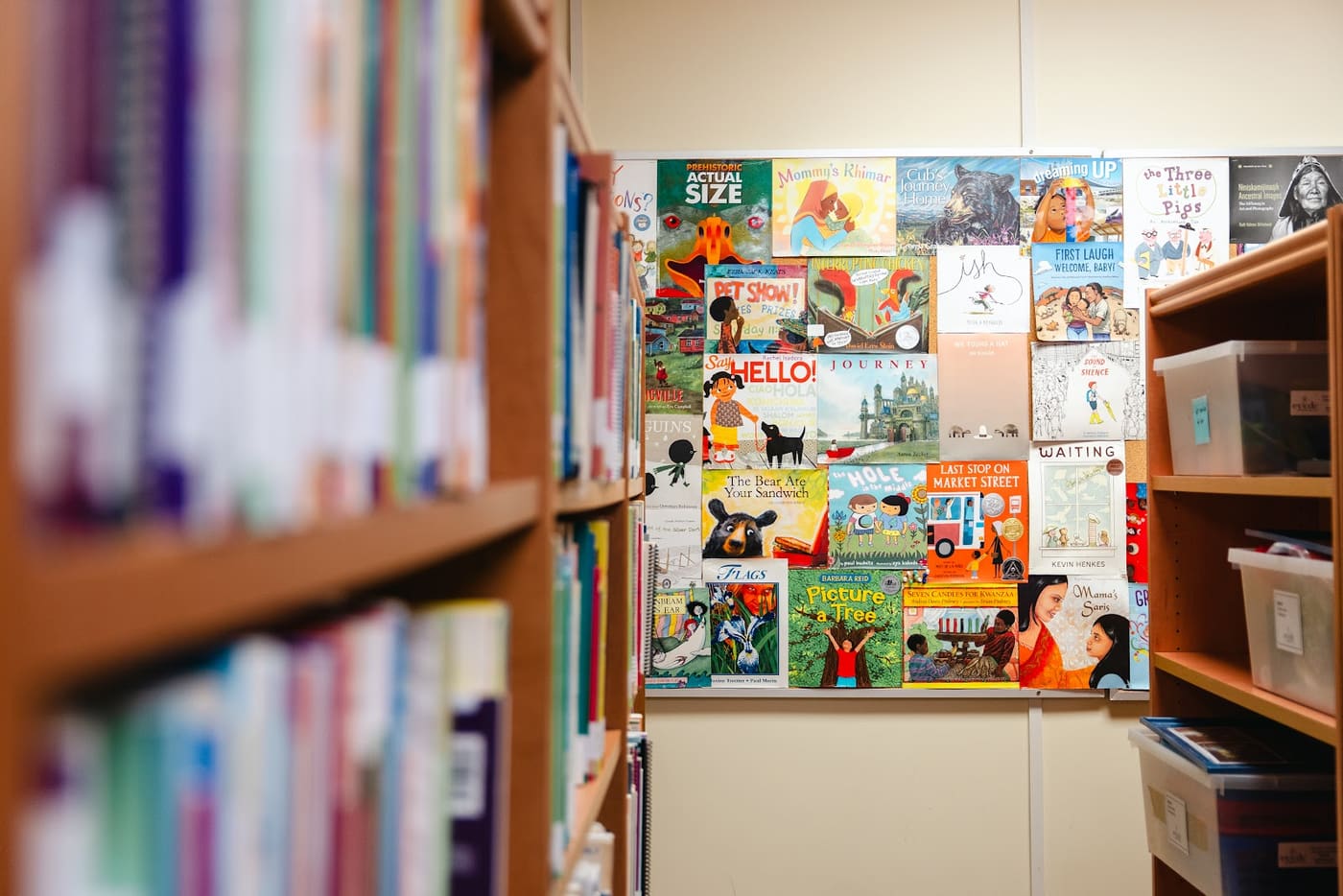 Nova Scotia College of Early Childhood Education