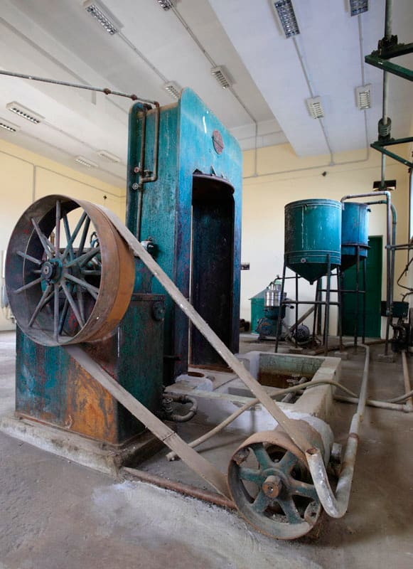 Olive and Oil Museum