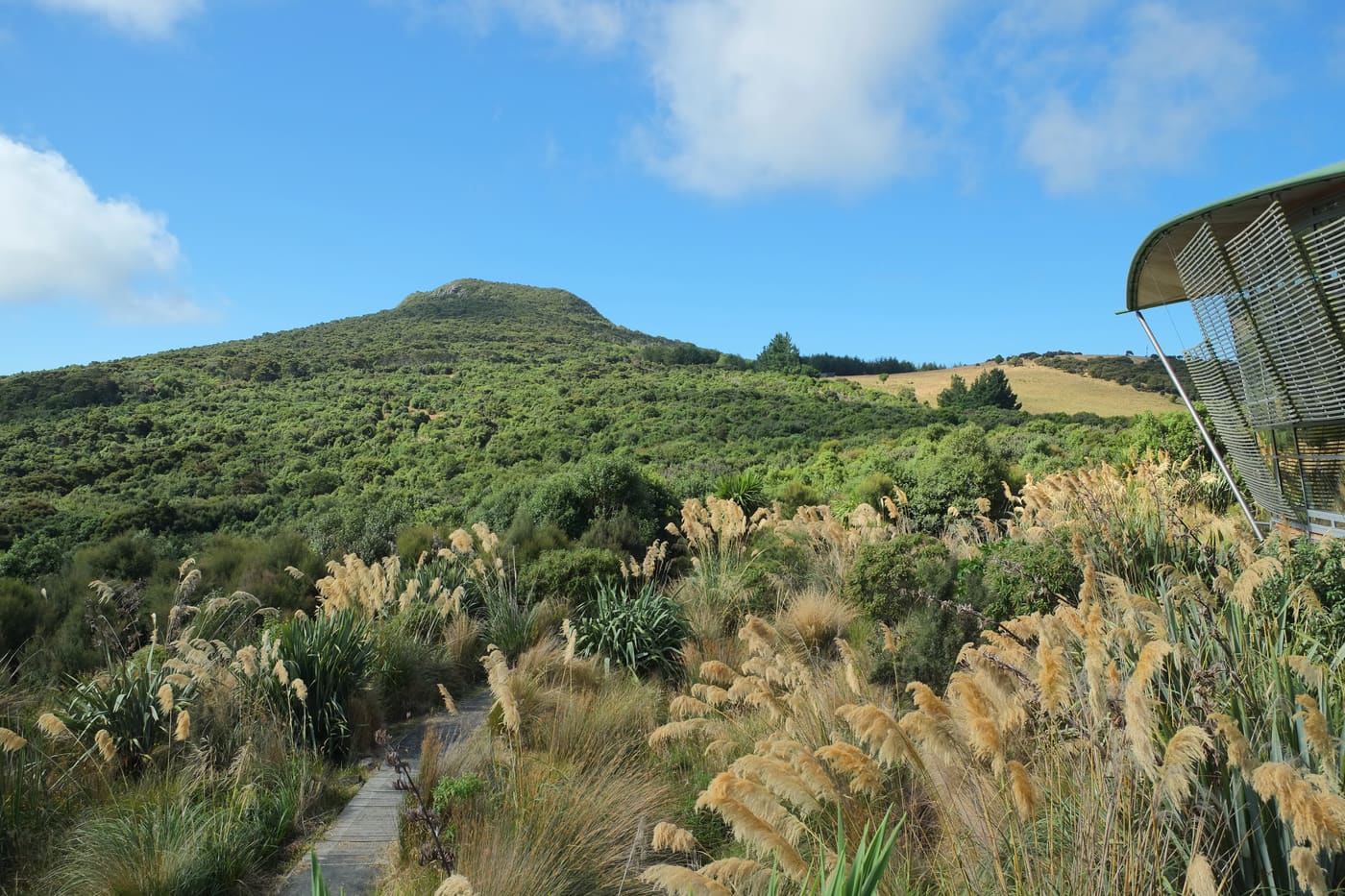 Orokonui Ecosanctuary