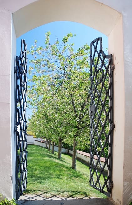 Small Pálffy garden