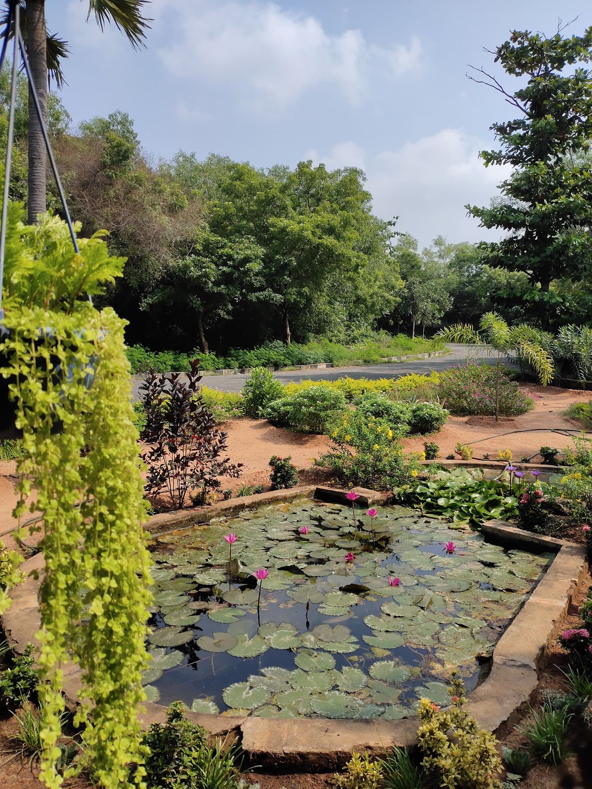 Rajiv Gandhi College of Veterinary and Animal Sciences