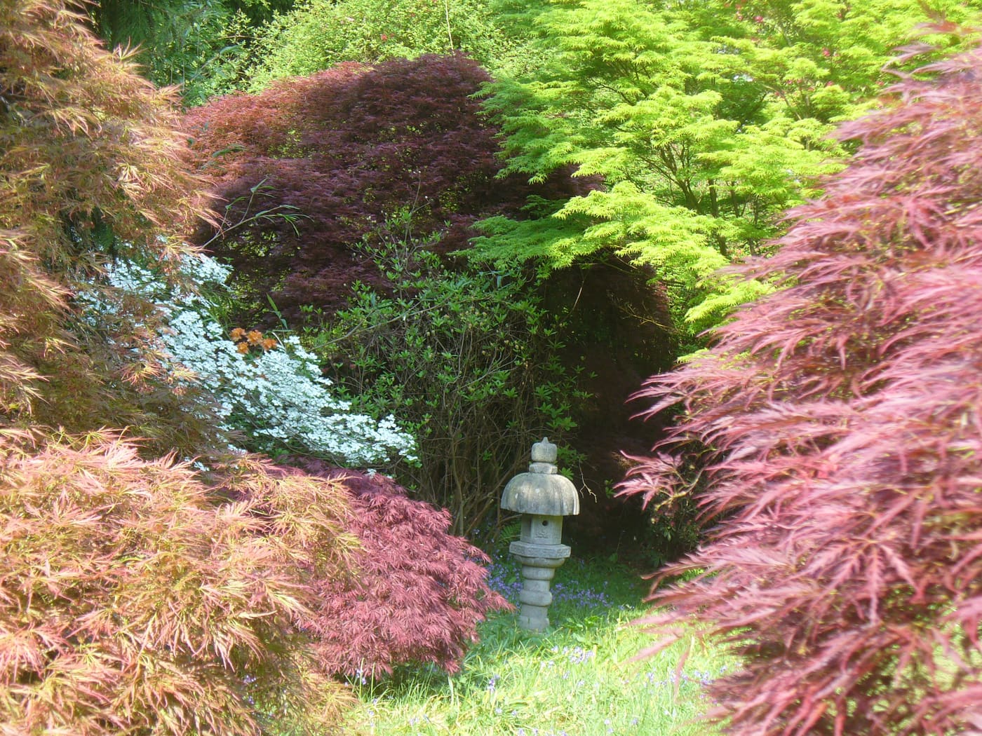 Ramster Gardens
