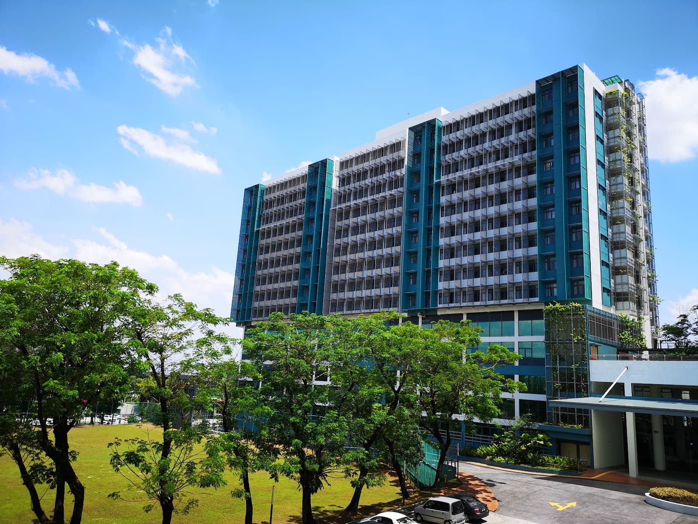 First City University College