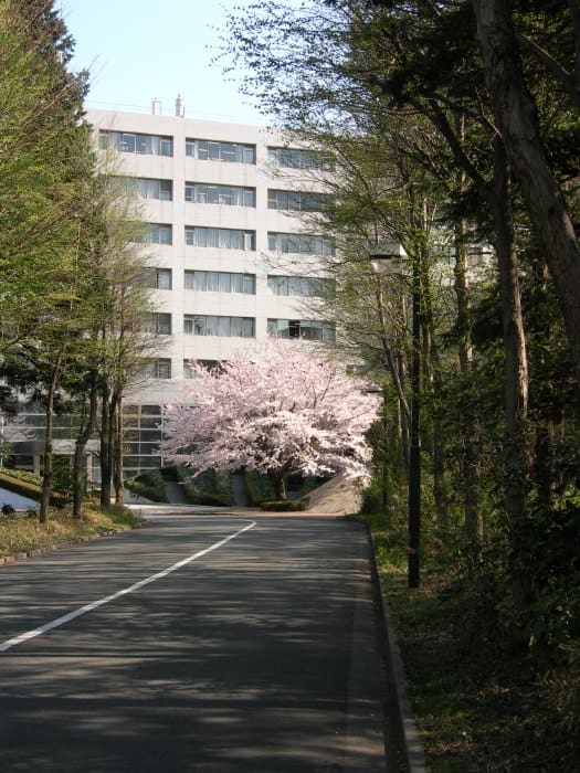 Sagamihara Campus