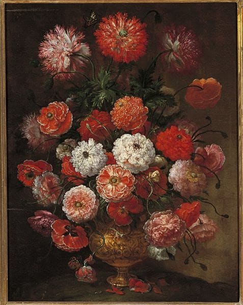 Museum of Still Life