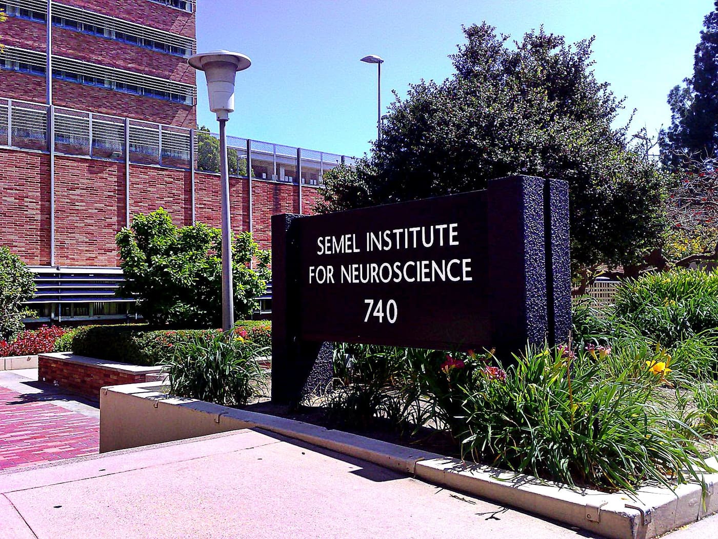 UCLA Semel Institute for Neuroscience and Human Behavior