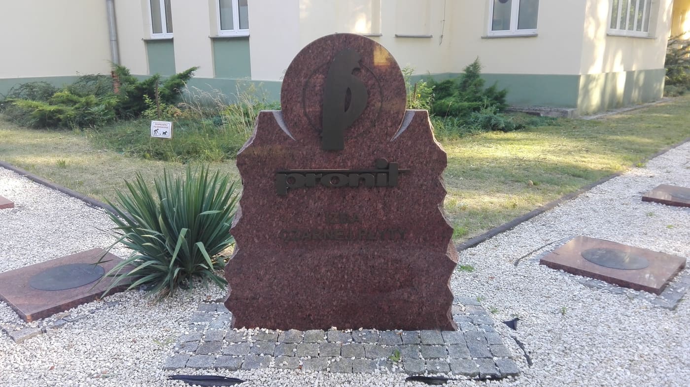 Izba Regionalna Czarnej Płyty