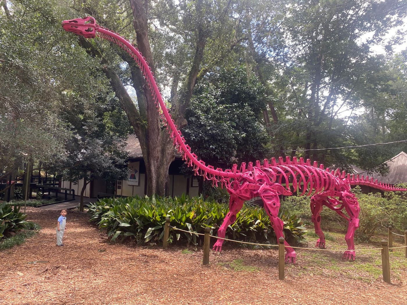 The Mary Brogan Museum of Art and Science