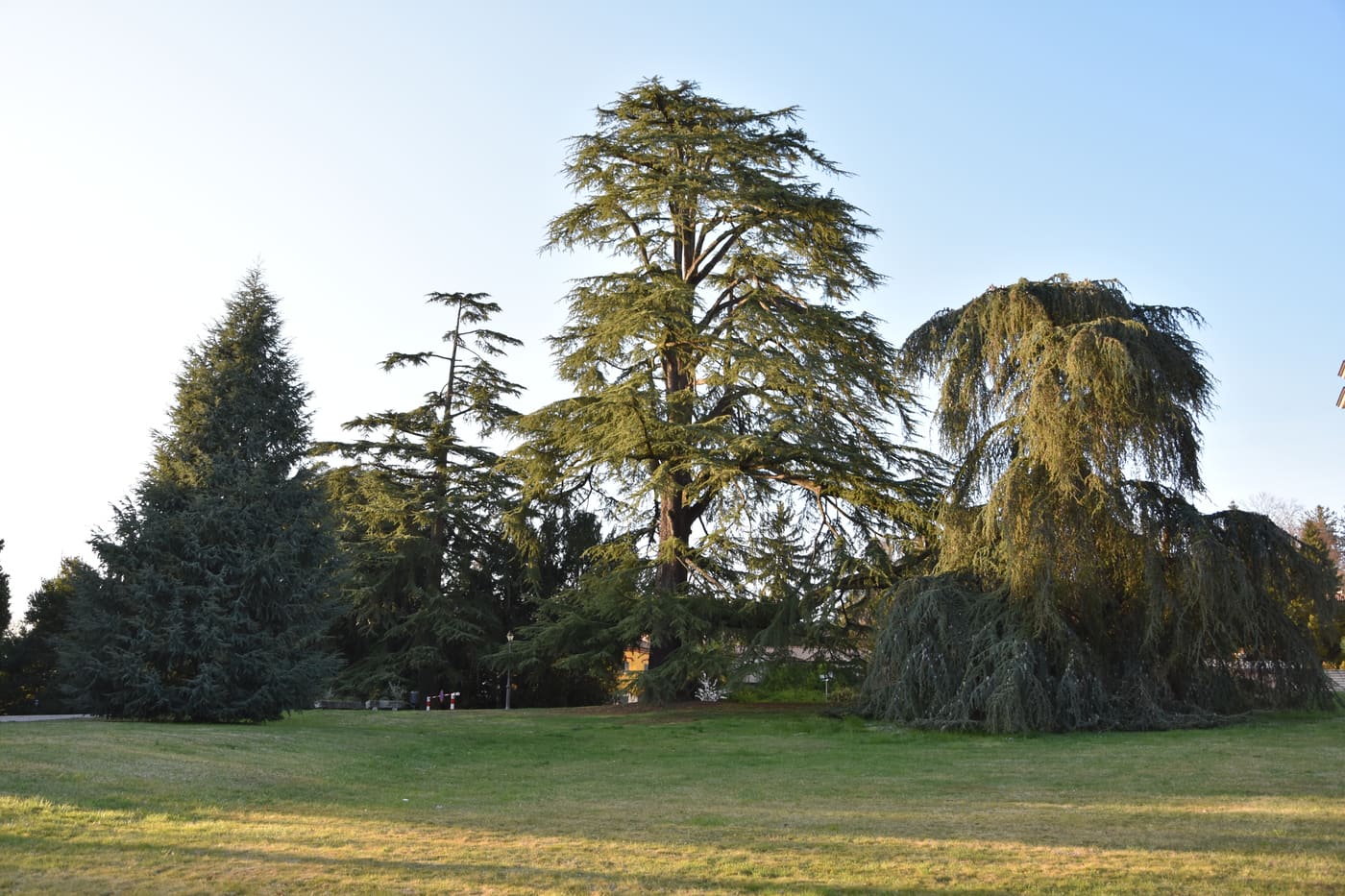 Ville Ponti - Parco