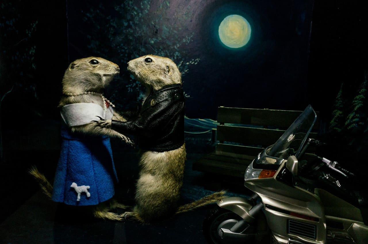 Torrington Gopher Hole Museum