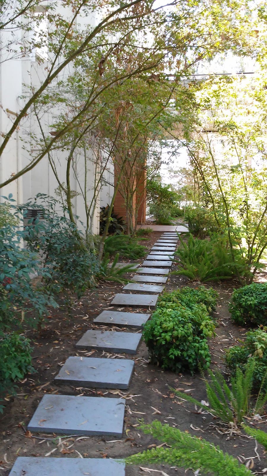 University of California, Riverside Graduate School of Education