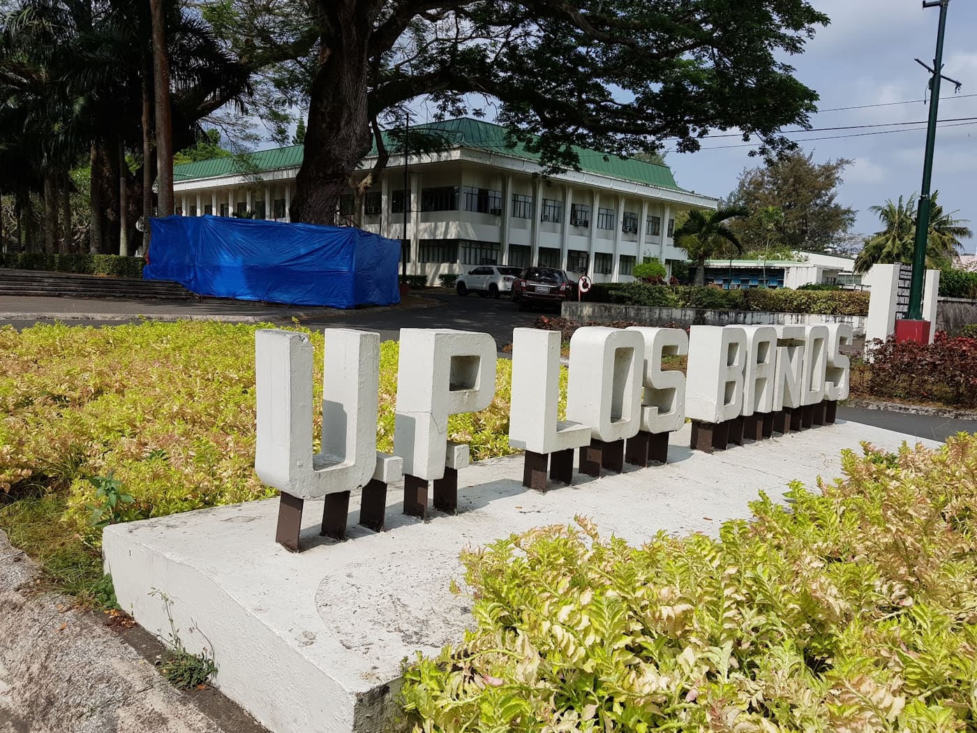 University of the Philippines Los Baños College of Economics and Management