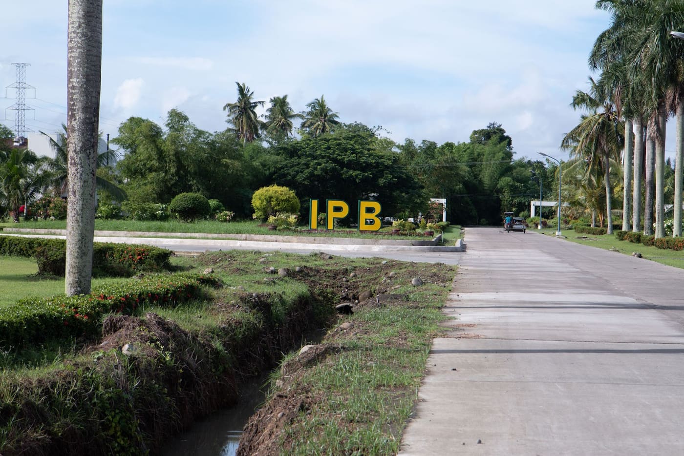 University of the Philippines Los Baños Institute of Plant Breeding