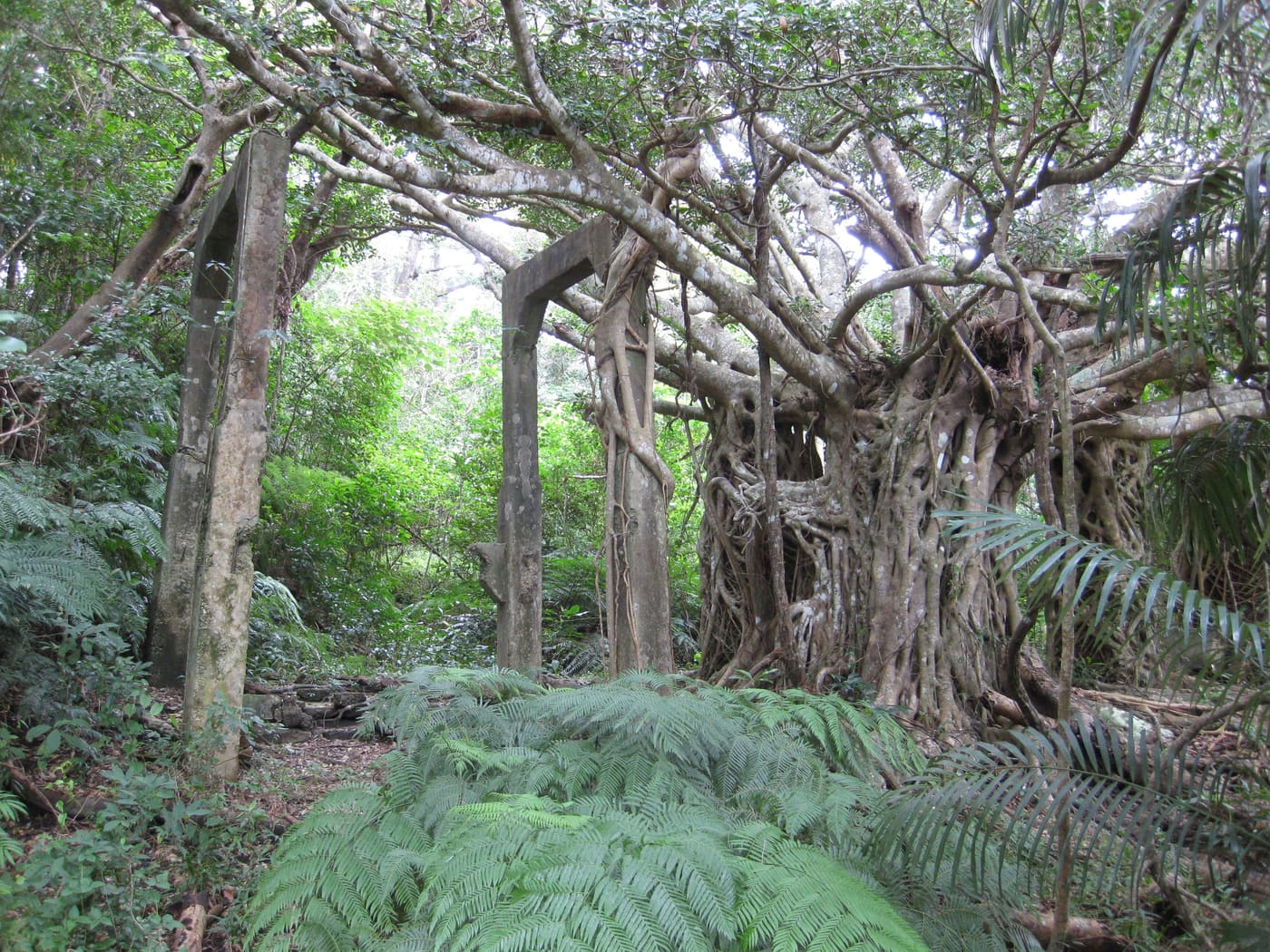 Utara Coal Mine