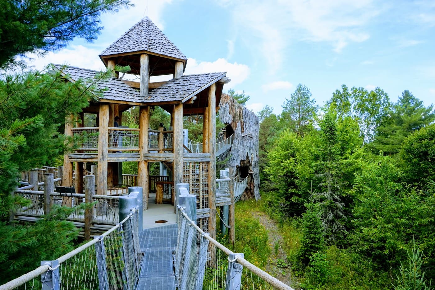Wild Center