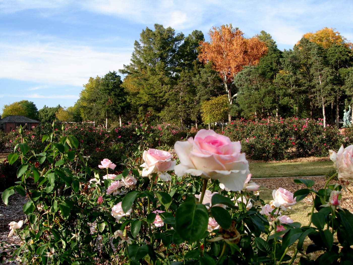 Will Rogers Gardens