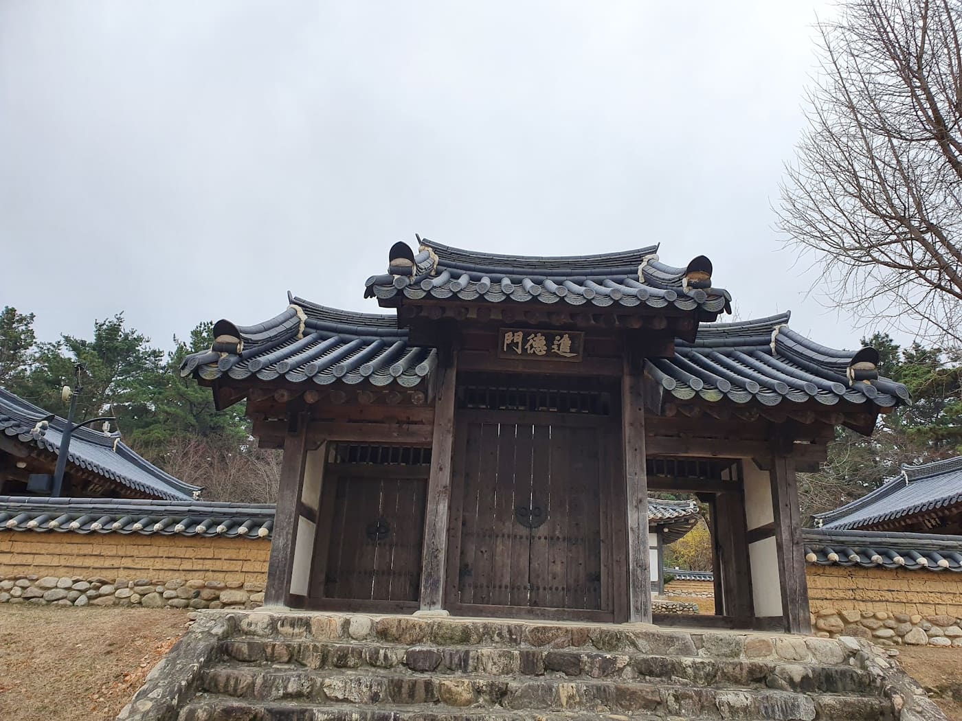 Yeungnam University College