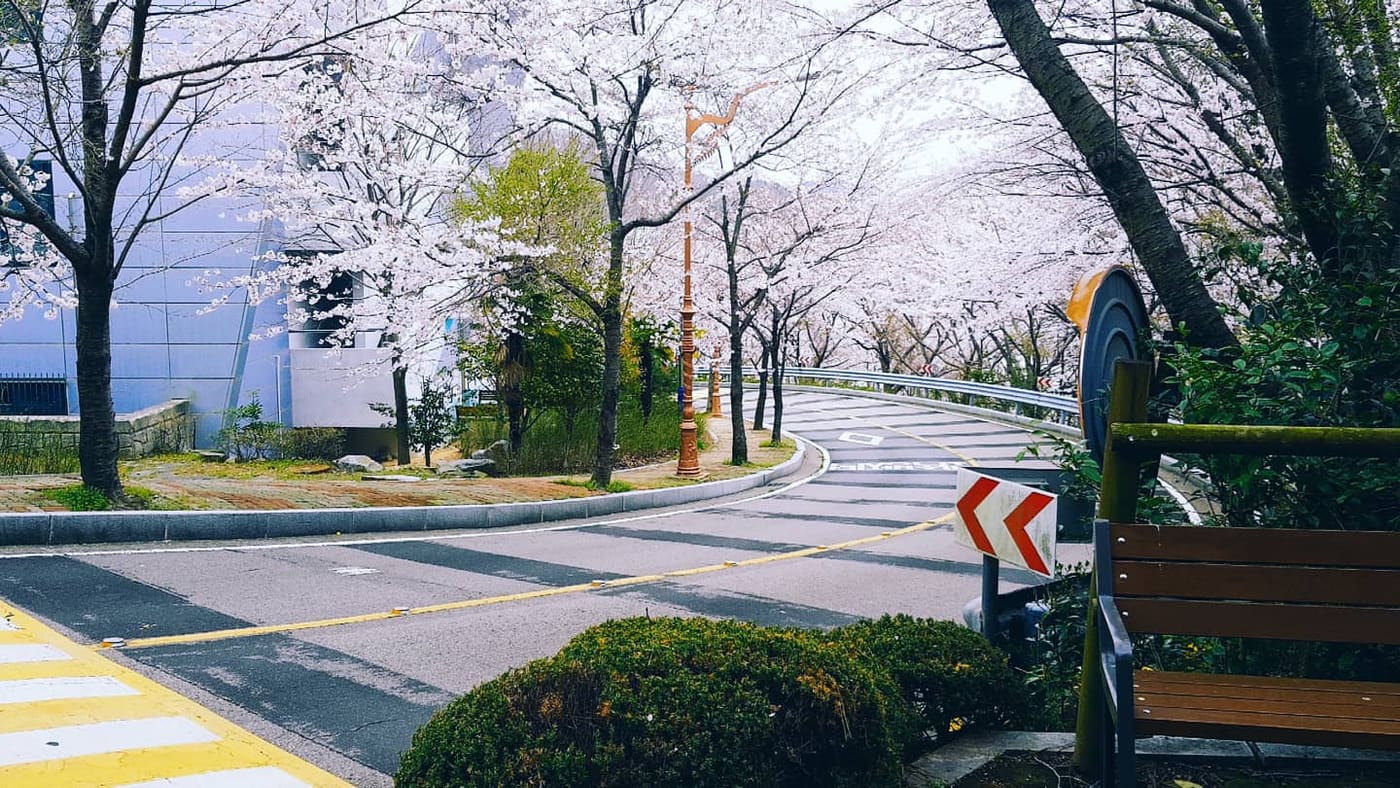 Yosu National University
