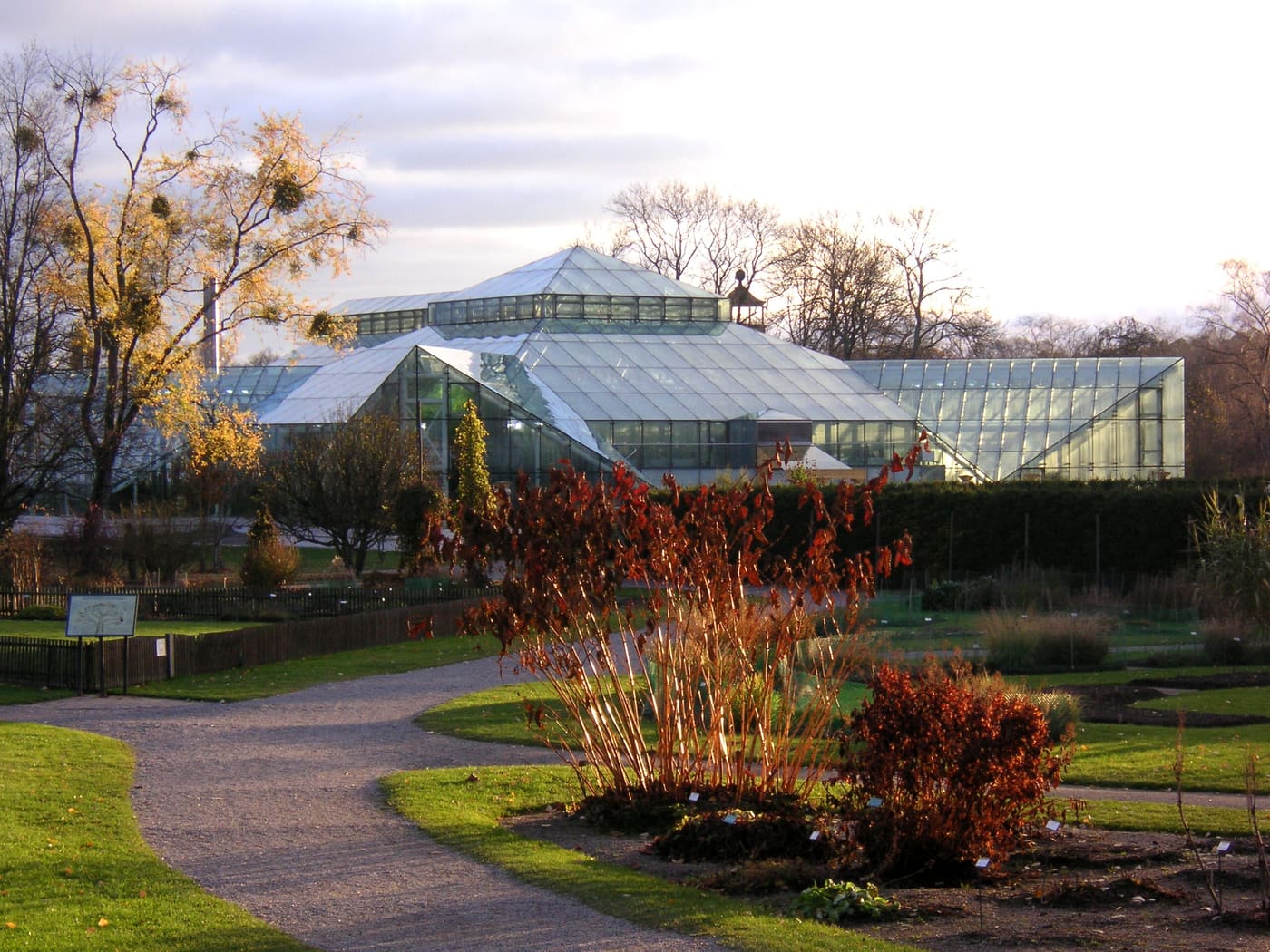 Bergian botanic garden