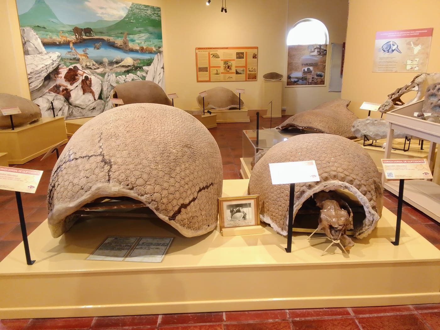 Museo de Ciencias Naturales Gesué Pedro Noseda