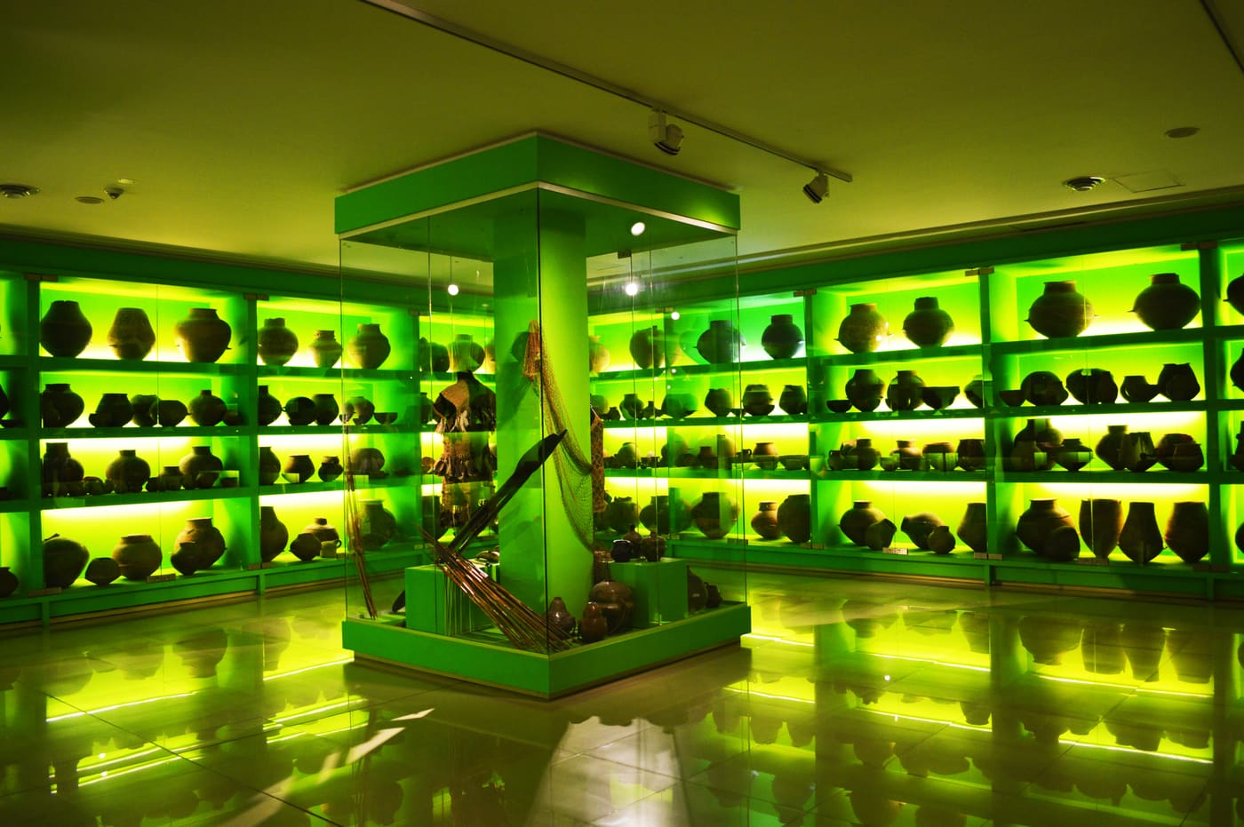 Museum of Anthropological and Natural Sciences Emilio and Duncan Wagner