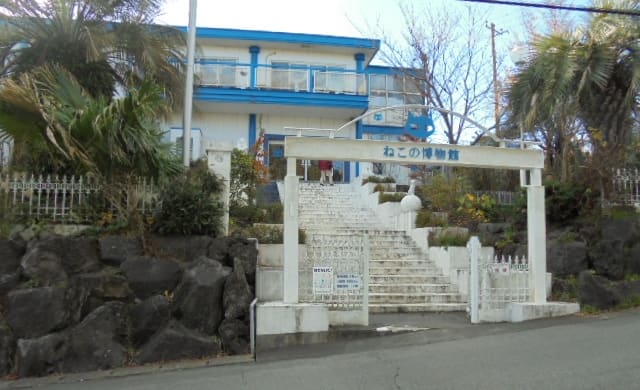 The Cat Museum