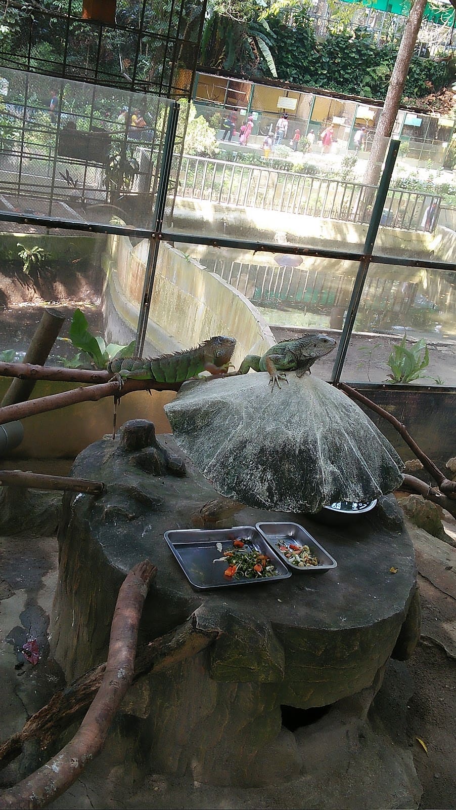 Pematang Siantar Zoology Museum