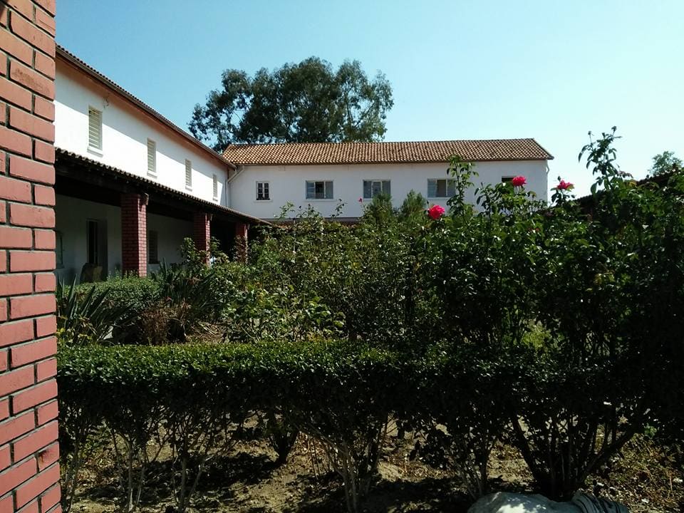 Hippo Regius Museum