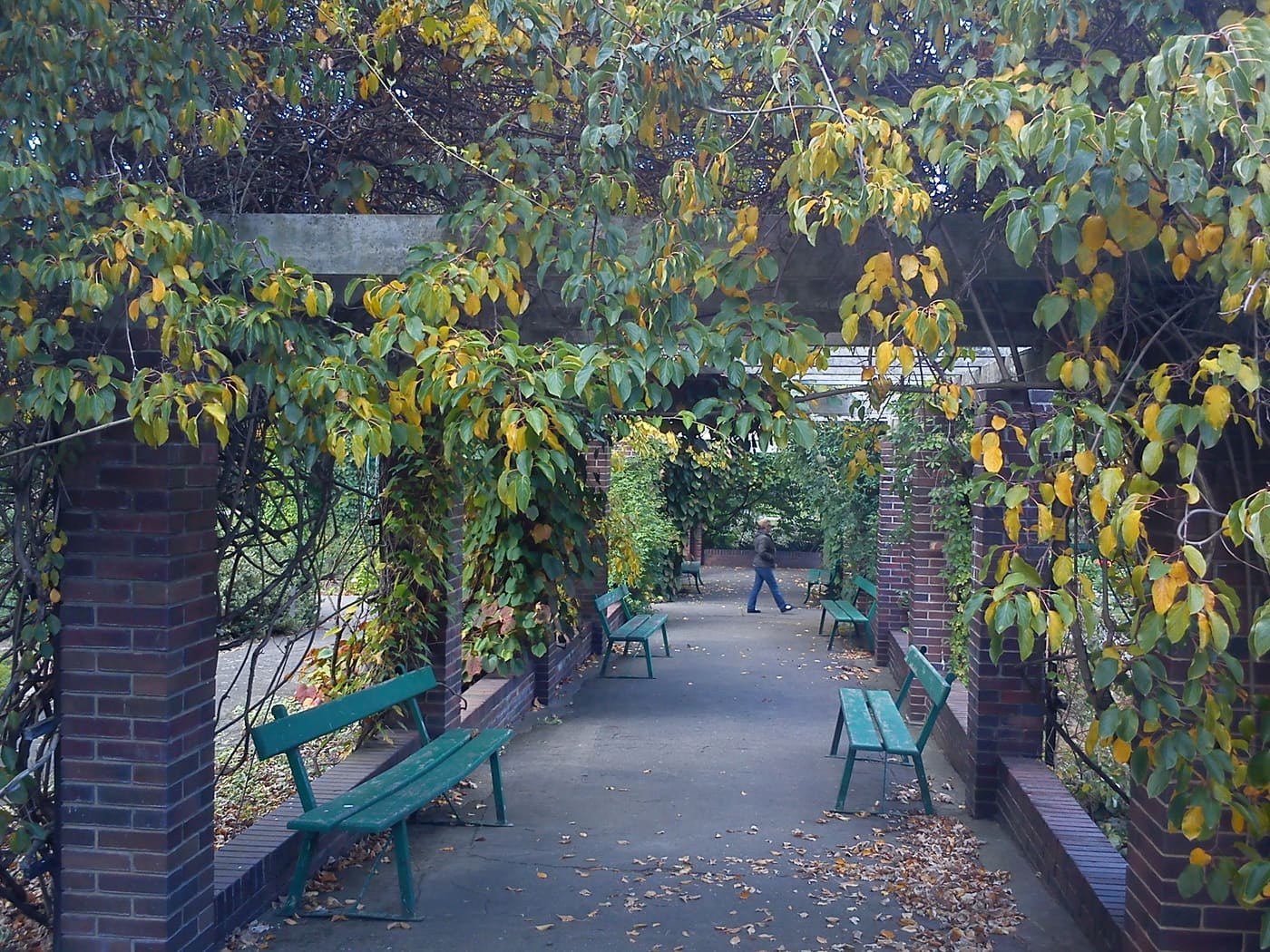 Botanical garden in Poznań