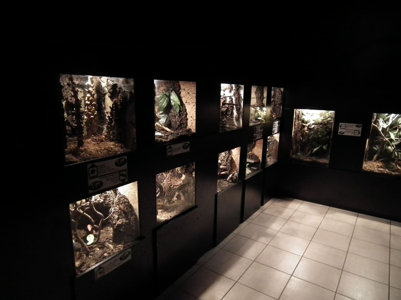 Aquarium and Natural History Museum in Kraków