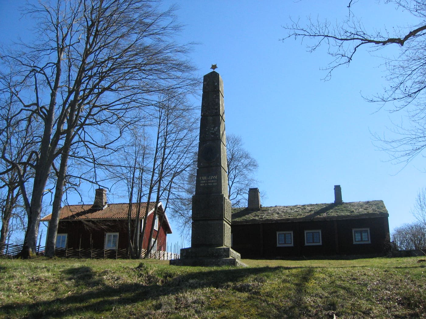Råshult