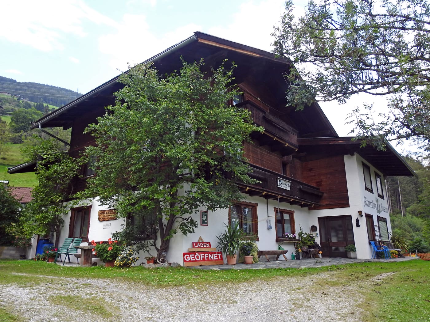 Mineralien-Museum und Laden, Wald im Pinzgau