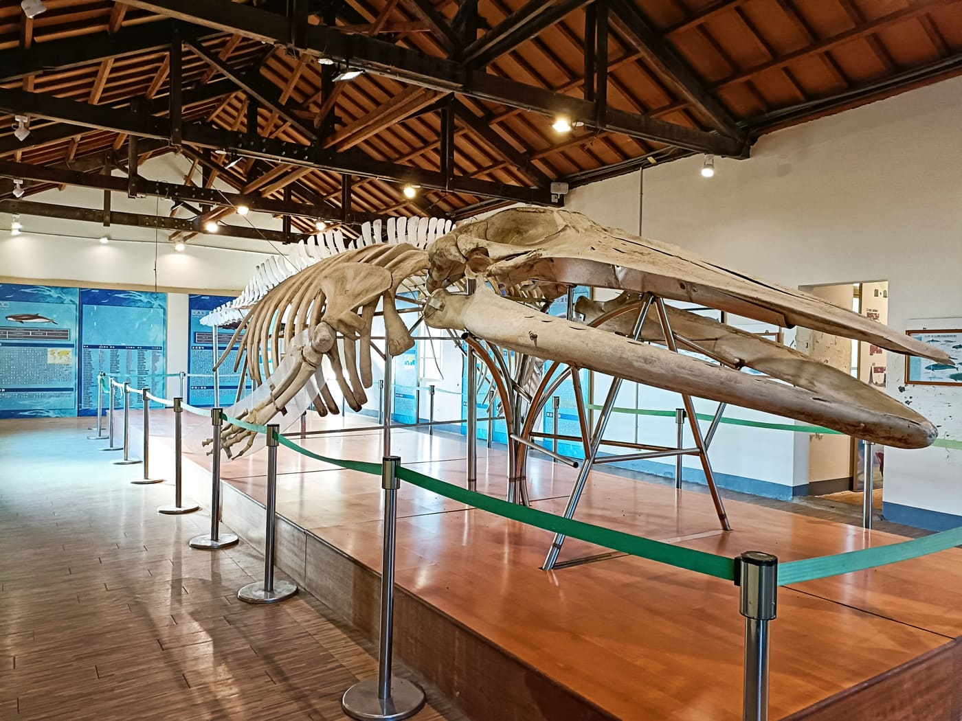 Taijiang Cetacean Museum