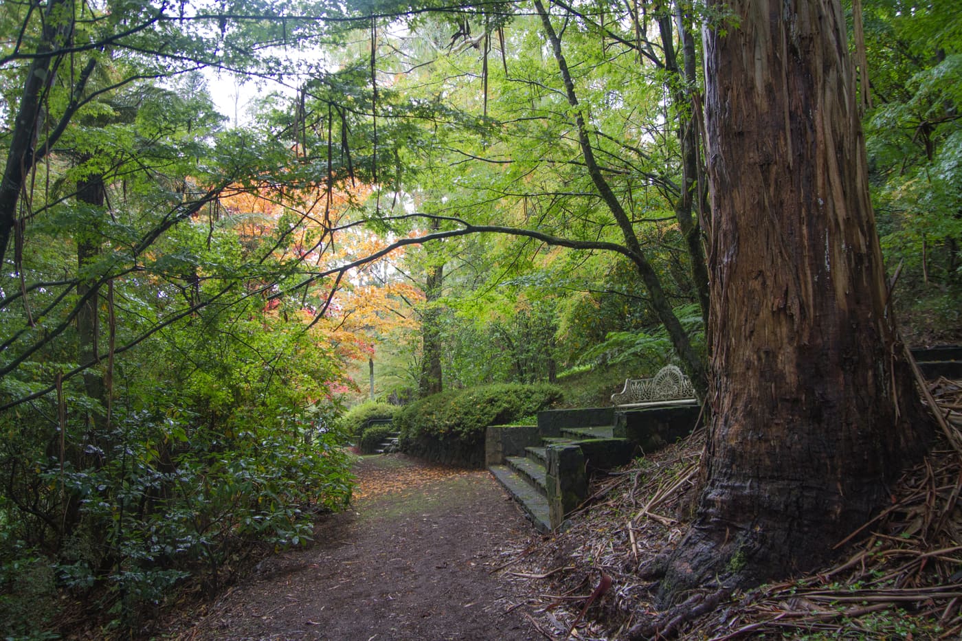 Breenhold Gardens