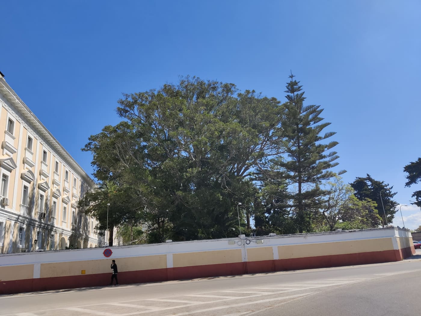 Jardines de Cristóbal Colón
