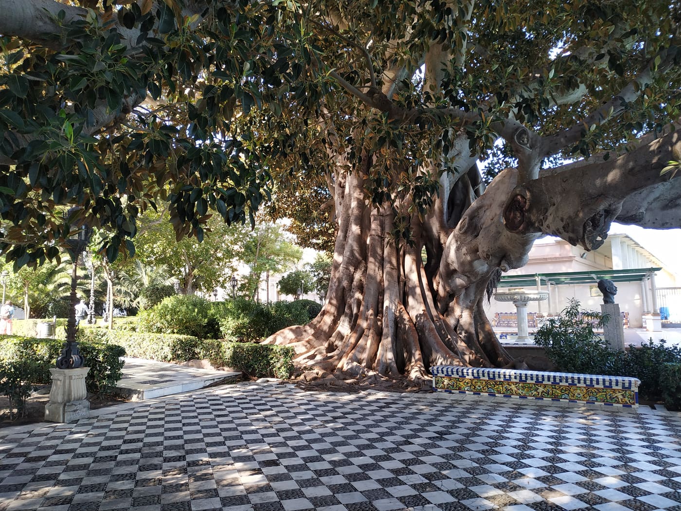 Alameda Apodaca y Marqués de Comillas