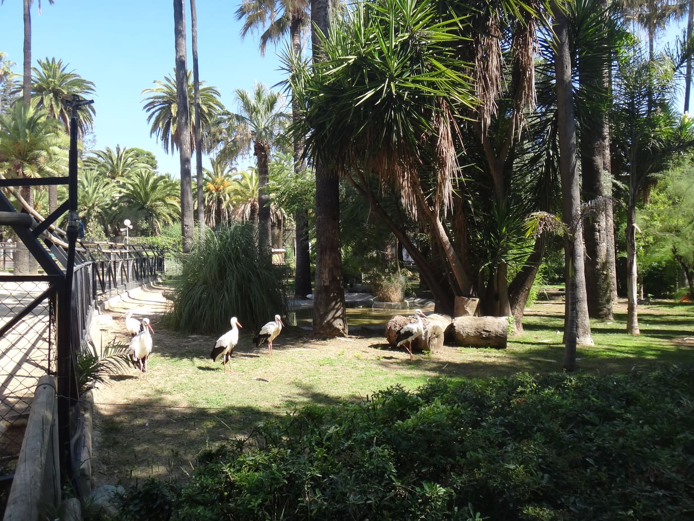 Jardines del Tempul