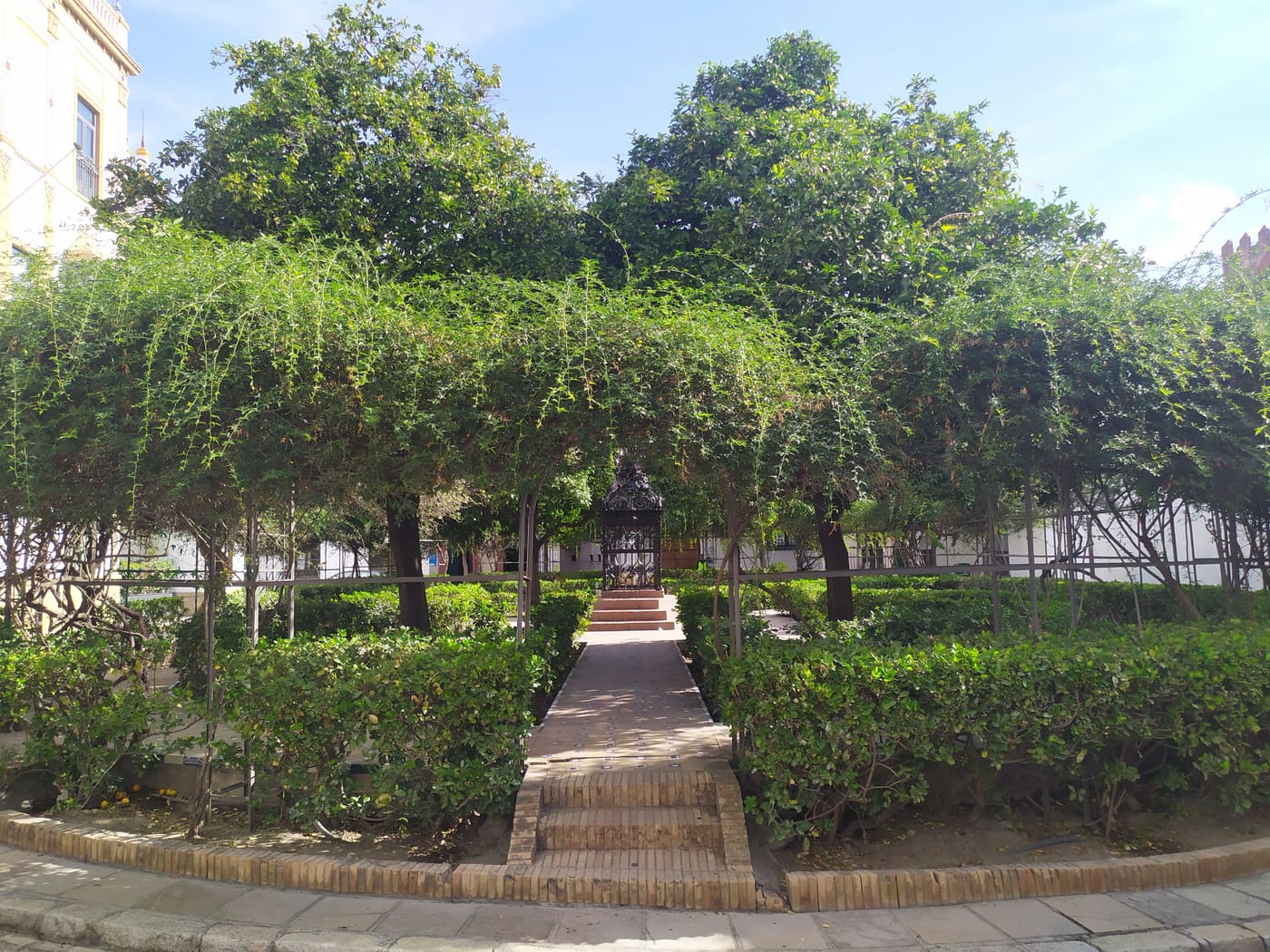 Jardines de la plaza de Santa Cruz