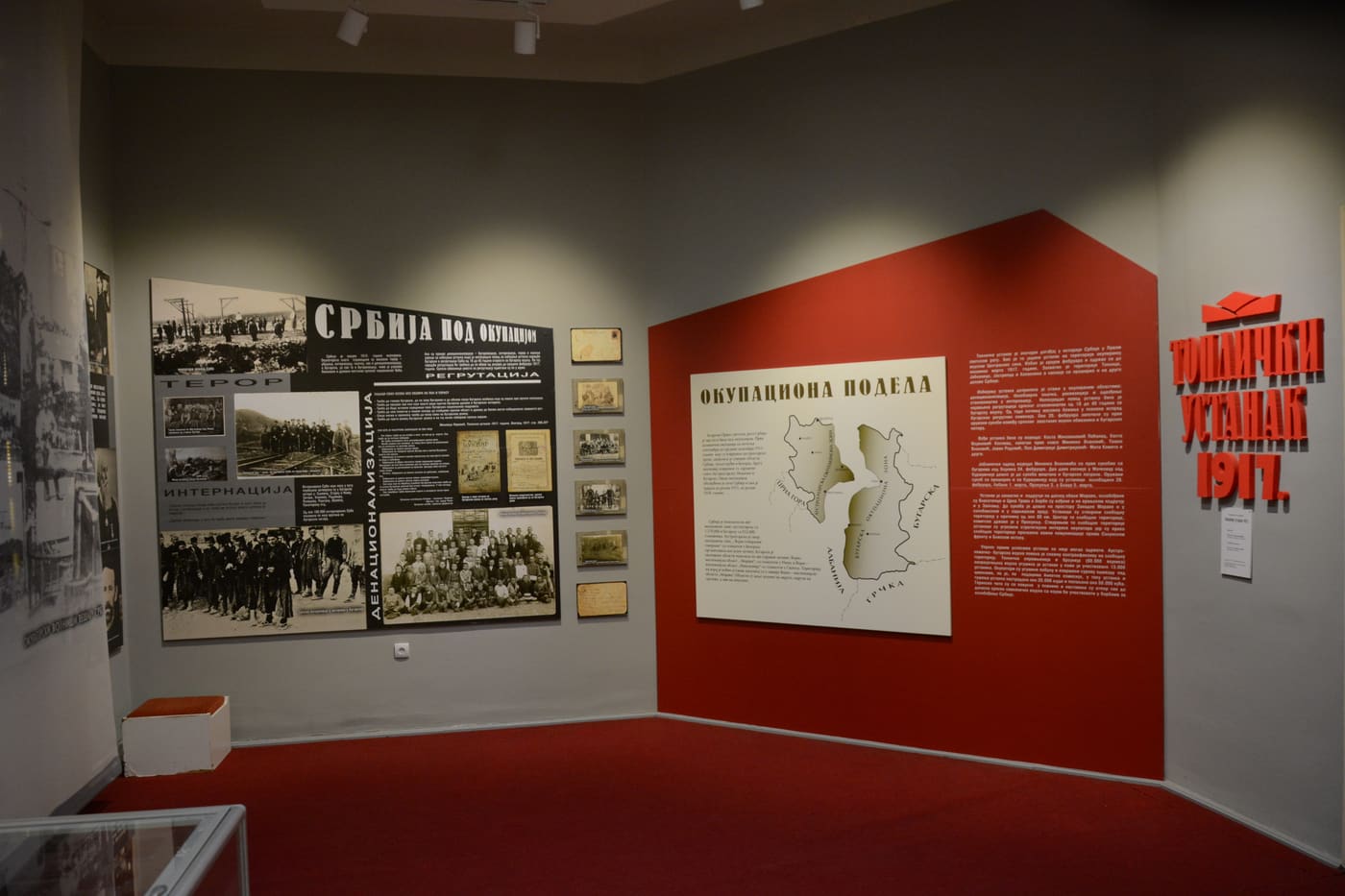 Memorial room Toplica Uprising