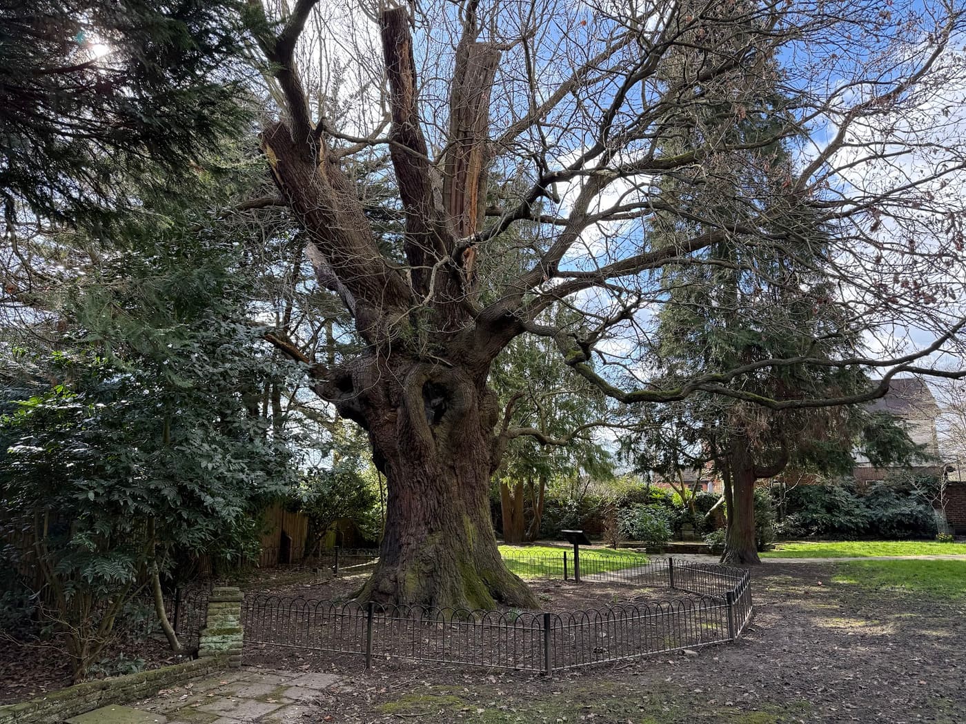 Minchenden Oak Garden