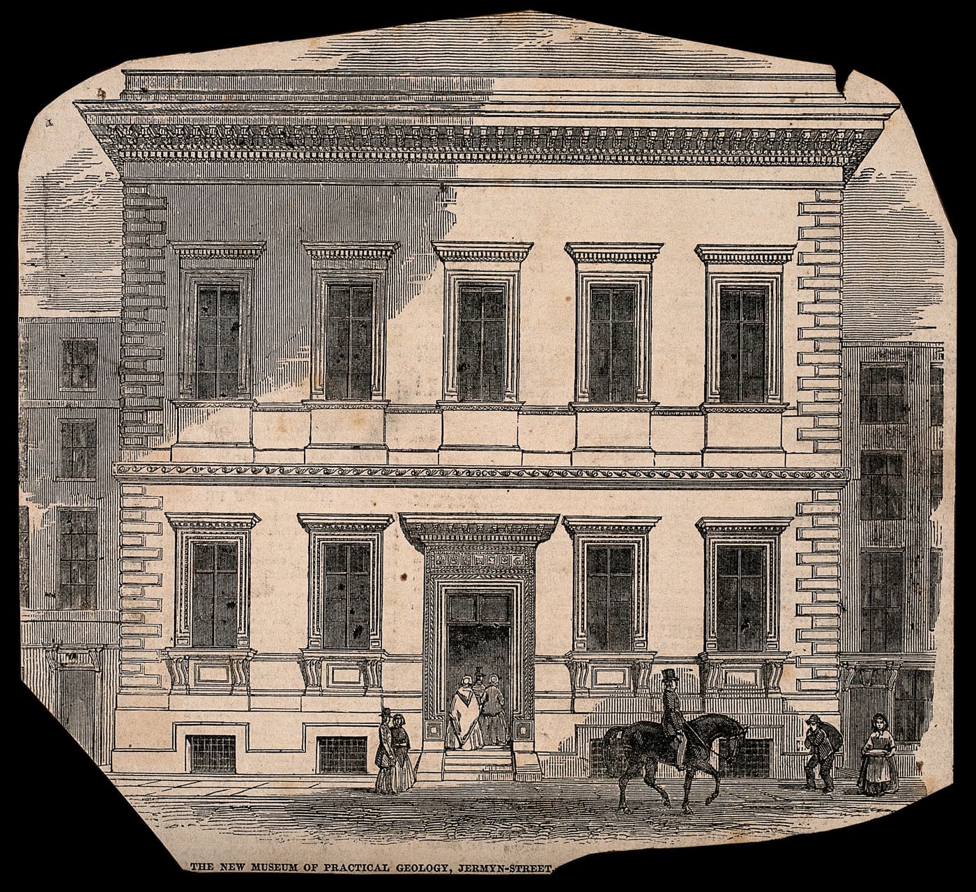 The Museum of Practical Geology